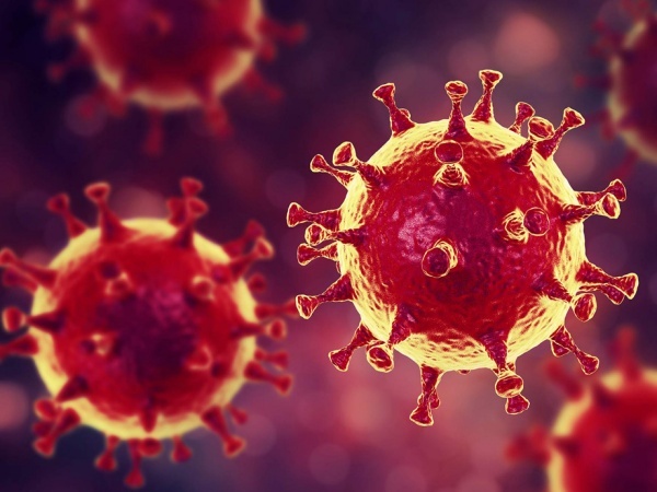 Coronavirus Image.jpg